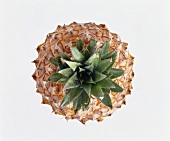 A pineapple (from above)