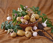 Still life with potatoes and garlic