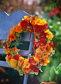 Wreath of nasturtiums, lady's mantle and catmint