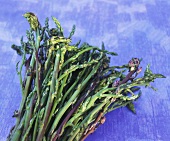 Wild green asparagus