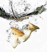 Shiitake mushrooms falling into water