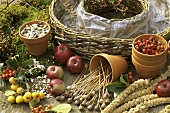 Requisites for a bird food wreath