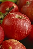 Apples, variety 'Holzapfel'