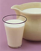 A jug and a glass of milk
