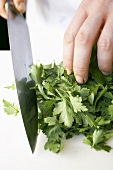 Chopping parsley