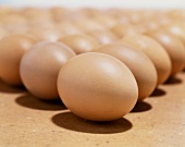 Several fresh, brown eggs