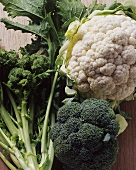 Still life with broccoli and cauliflower