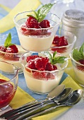 Panna cotta with fresh raspberries