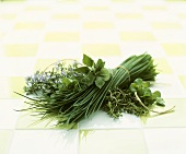 A selection of culinary herbs