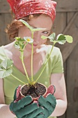 Young woman holding strawberry plant
