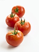 Vier frische Tomaten