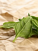 Spinach leaves