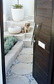 Small dog sitting on steps outside open exterior door