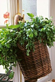Basket of parsley