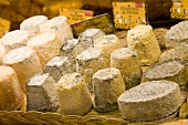 A selection of soft and blue cheeses