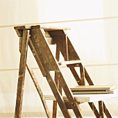 Detail einer Holzleiter mit Ringbüchern