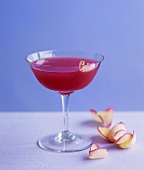 Pomegranate and rose cocktail