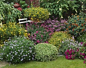 Sommergarten mit verschiedenen Blumenarten