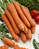 Carrots, variety 'Bolero'