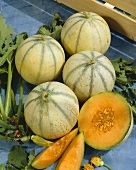 Stillleben mit Charentais-Melonen