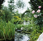 Ponds in large garden