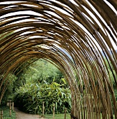 Bogenförmiger Durchgang aus Bambusstäben