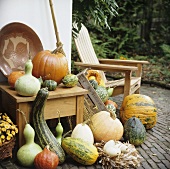 Pumpkins and squashes (autumn decorations)