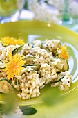 Courgette risotto garnished with (edible) dandelion flowers