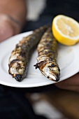 Grilled sardines with lemon on plate