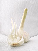 Garlic bulbs, one whole and one half