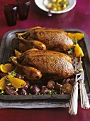 Duck with oranges and red onions in a rosemary and honey sauce