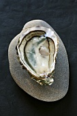 Oyster (from the Marennes d'Oléron oyster region, France)