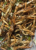 Roasted grasshoppers on an Asian market stall