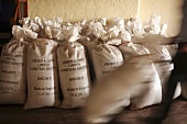 Several sacks of dried hops for beer-making