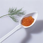 Trout caviar on a porcelain spoon with a sprig of dill