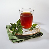 Nettle tea in a glass
