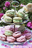 Macarons on a tiered stand out of doors
