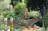 Bruschetta and a basket of herbs out of doors