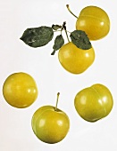 Five yellow plums