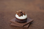 Chocolate praline with walnuts on squares of chocolate
