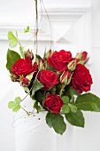 Red roses wrapped in cake paper as door decoration