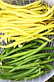 Wax beans and green beans in a plastic colander