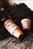 Flower pots and soil