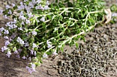 Thyme, fresh and dried