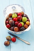 Various types of plums in a bowl