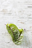 Two sorrel leaves