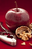 A red apple with walnuts and a nutcracker