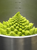 Romanesco broccoli in a pot