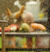 Gartenblick durch Fenster mit Regentropfen