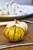 Ornamental pumpkins on a table